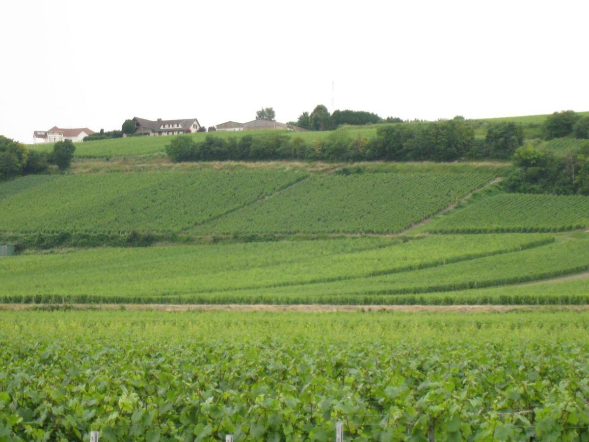 La Chambre D'Amis La Costignieres Montgueux Екстер'єр фото